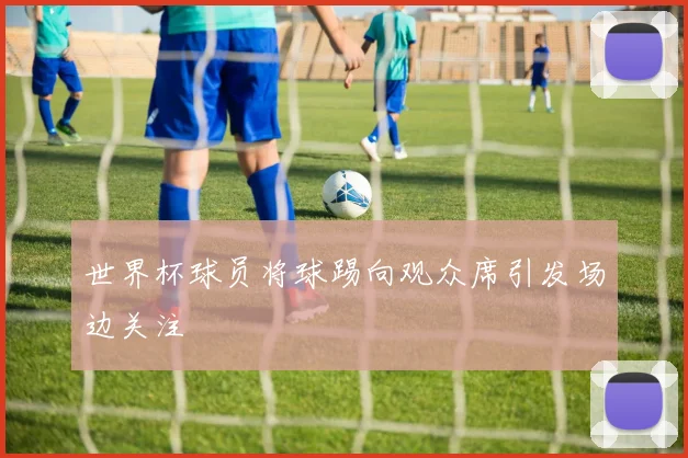 世界杯球员将球踢向观众席引发场边关注