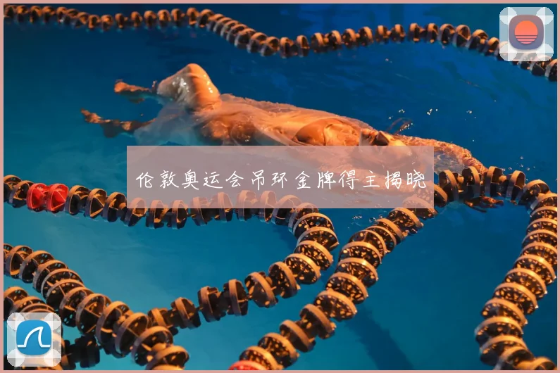 伦敦奥运会吊环金牌得主揭晓