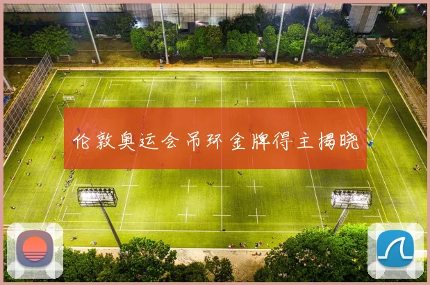 伦敦奥运会吊环金牌得主揭晓